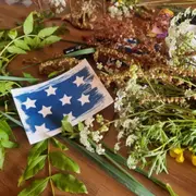 Atelier parent-enfant initiation cyanotype à Saint-Avertin (37)