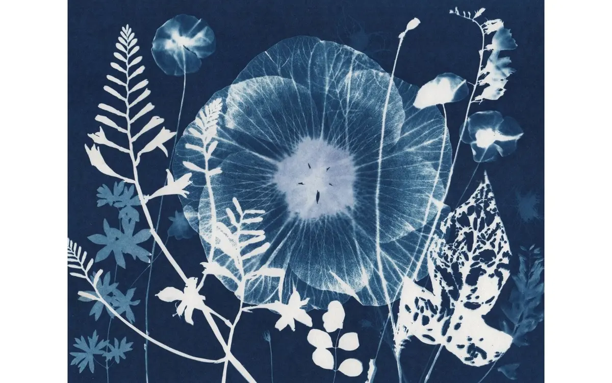 Atelier parent/enfant photographie Cyanotype
