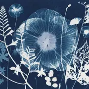 Atelier parent/enfant photographie Cyanotype