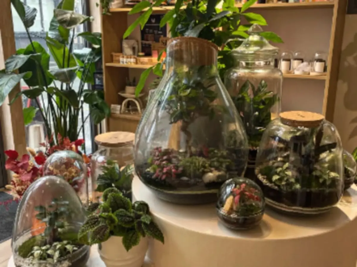 Atelier parent / enfant terrarium à Lille (59)