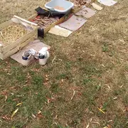 Atelier parents/enfants « Sortir en nature sauvage proche de chez soi »