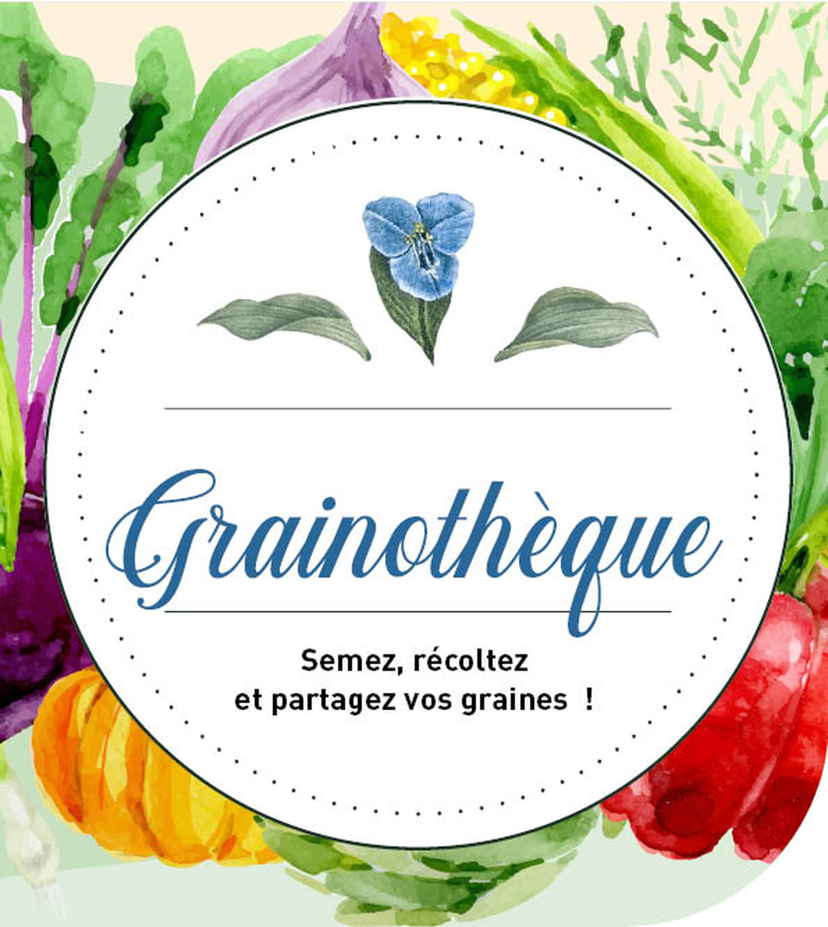 Atelier - Partage Grainothèque