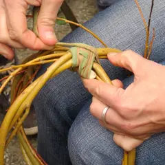 Atelier-patrimoine (6-12 ans) : vannerie sauvage