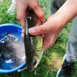 Atelier pêche à la friture