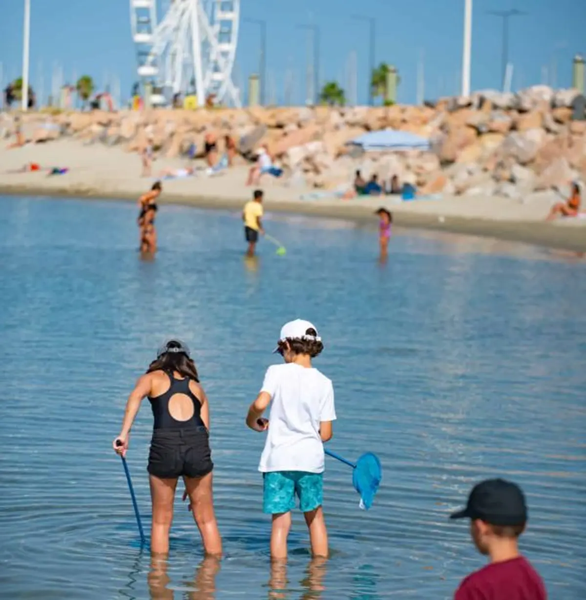Atelier Pêche A Pied