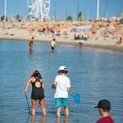 Atelier Pêche A Pied