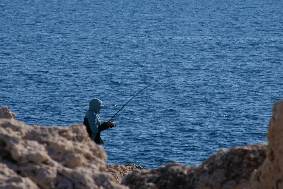 Atelier pêche durable : devenez les gardiens de nos océans