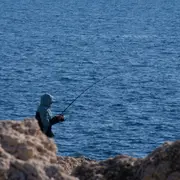 Atelier pêche durable : devenez les gardiens de nos océans