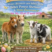 Atelier Pédagogique à la Ferme