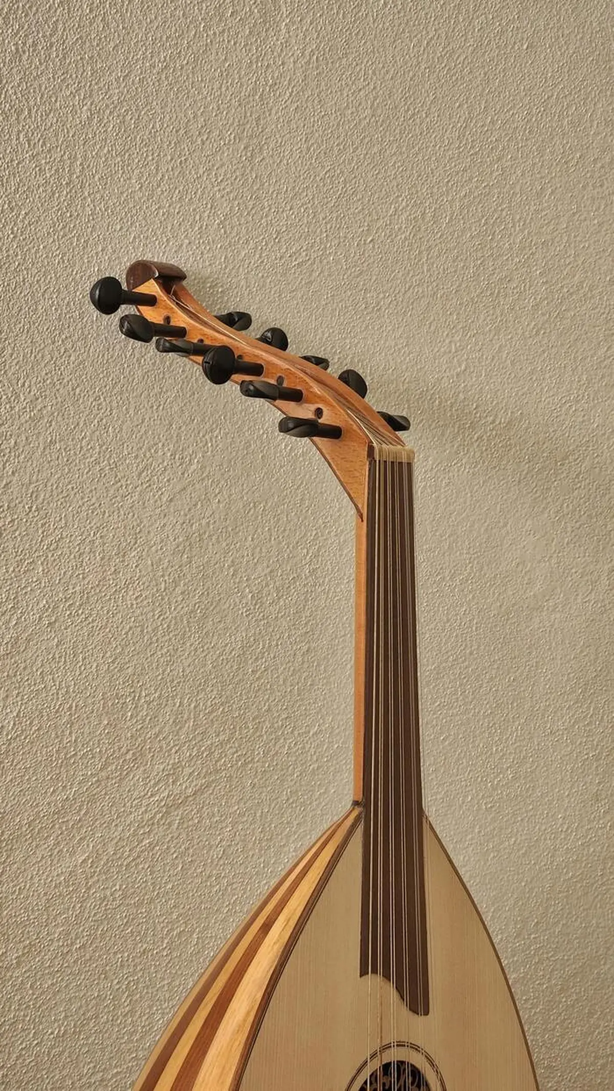 Atelier percussions orientales et oud