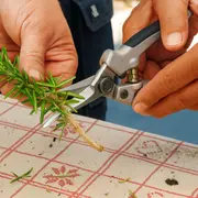 Atelier Permaculture & agroécologie à Annecy (74)