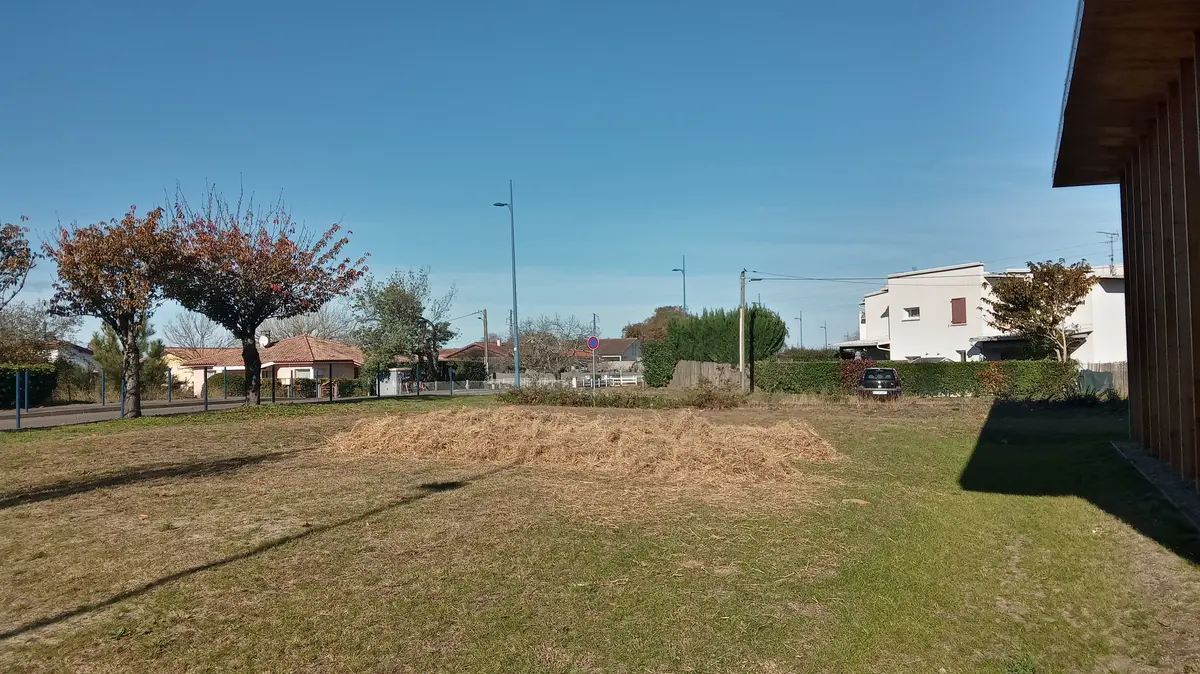 Atelier permaculture : Les buttes