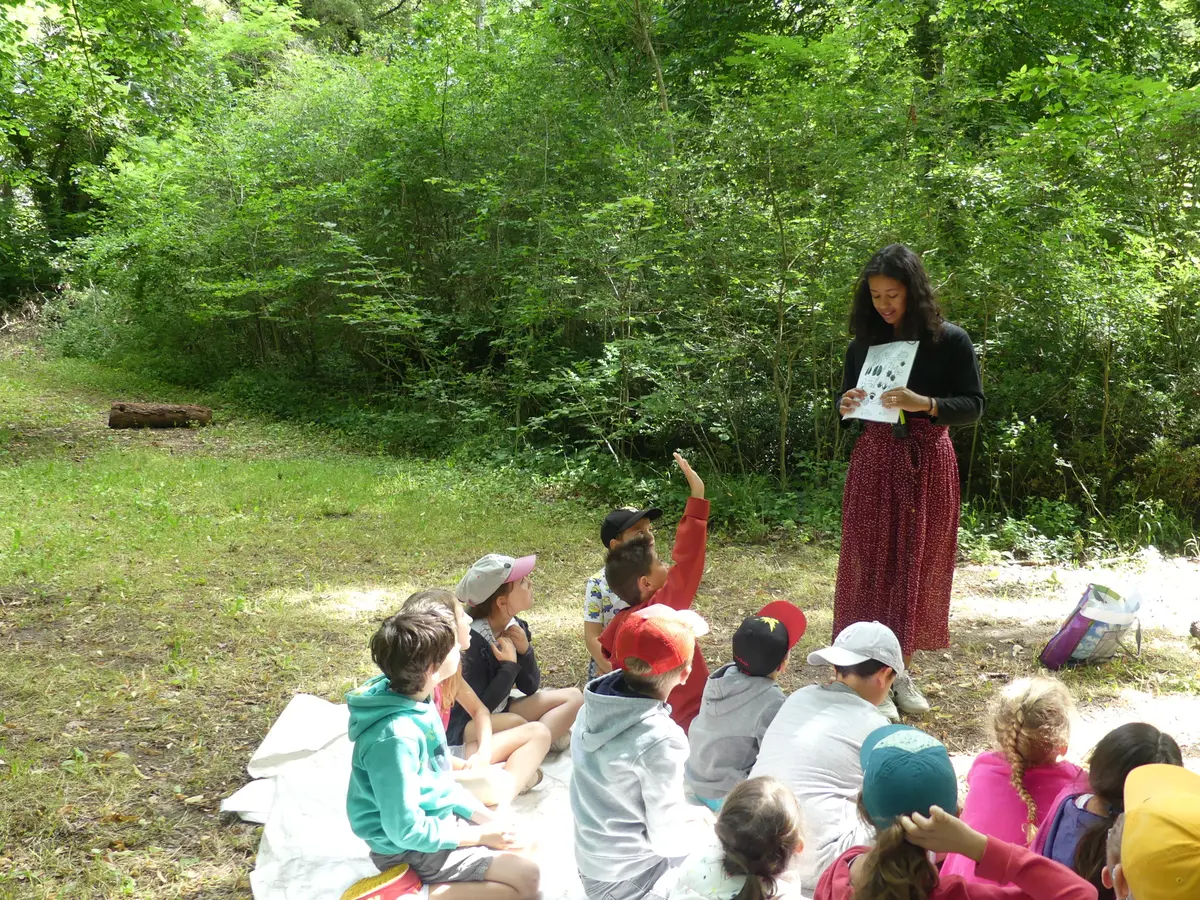 Atelier Petites Bêtes