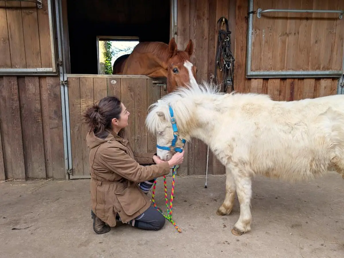 Atelier petits soigneurs