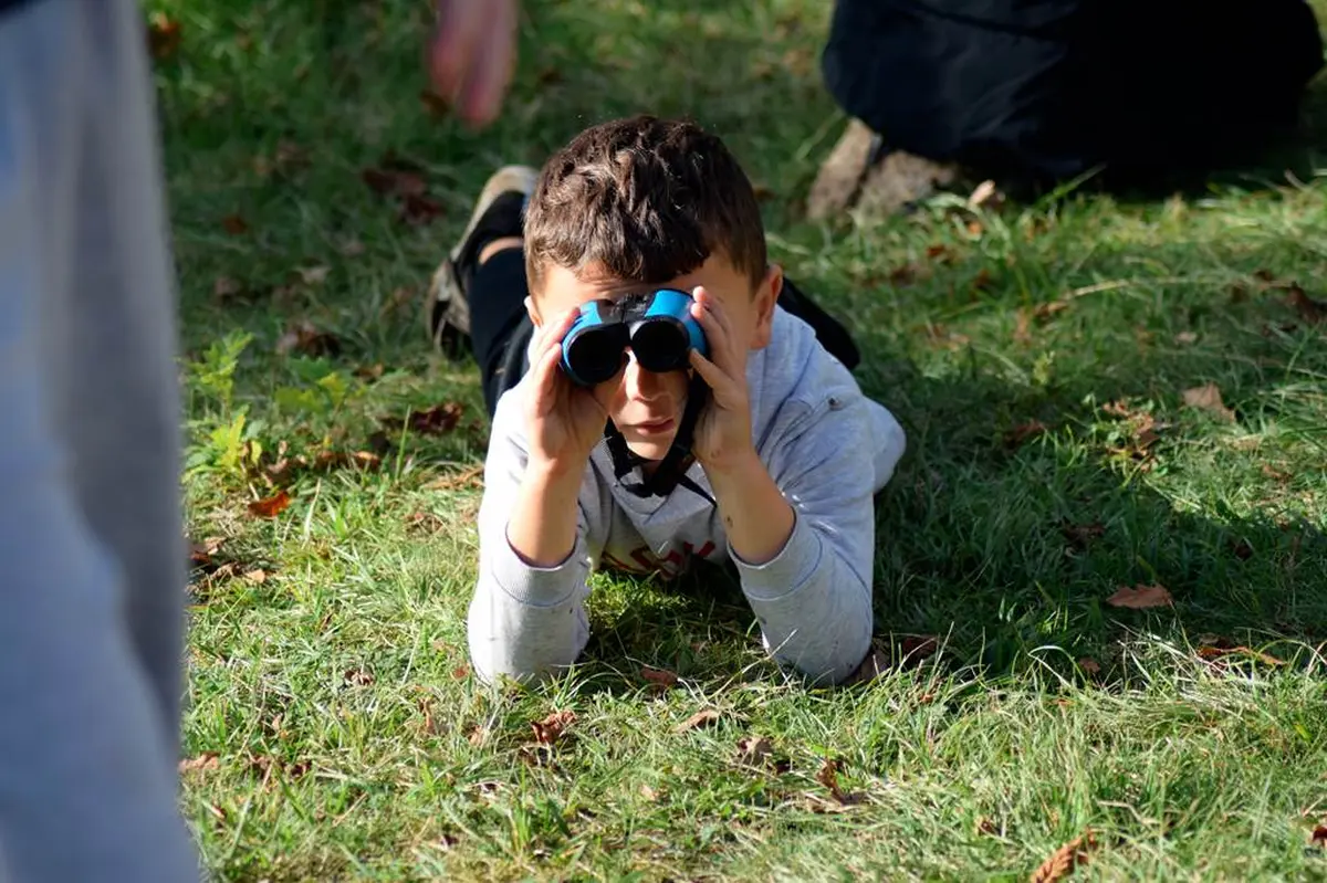 Atelier photo Billebaude photographique en forêt