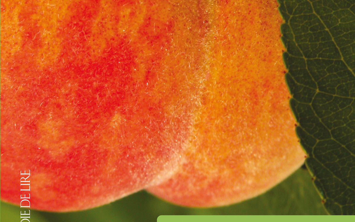 Nicolette Humbert - Joie de Lire