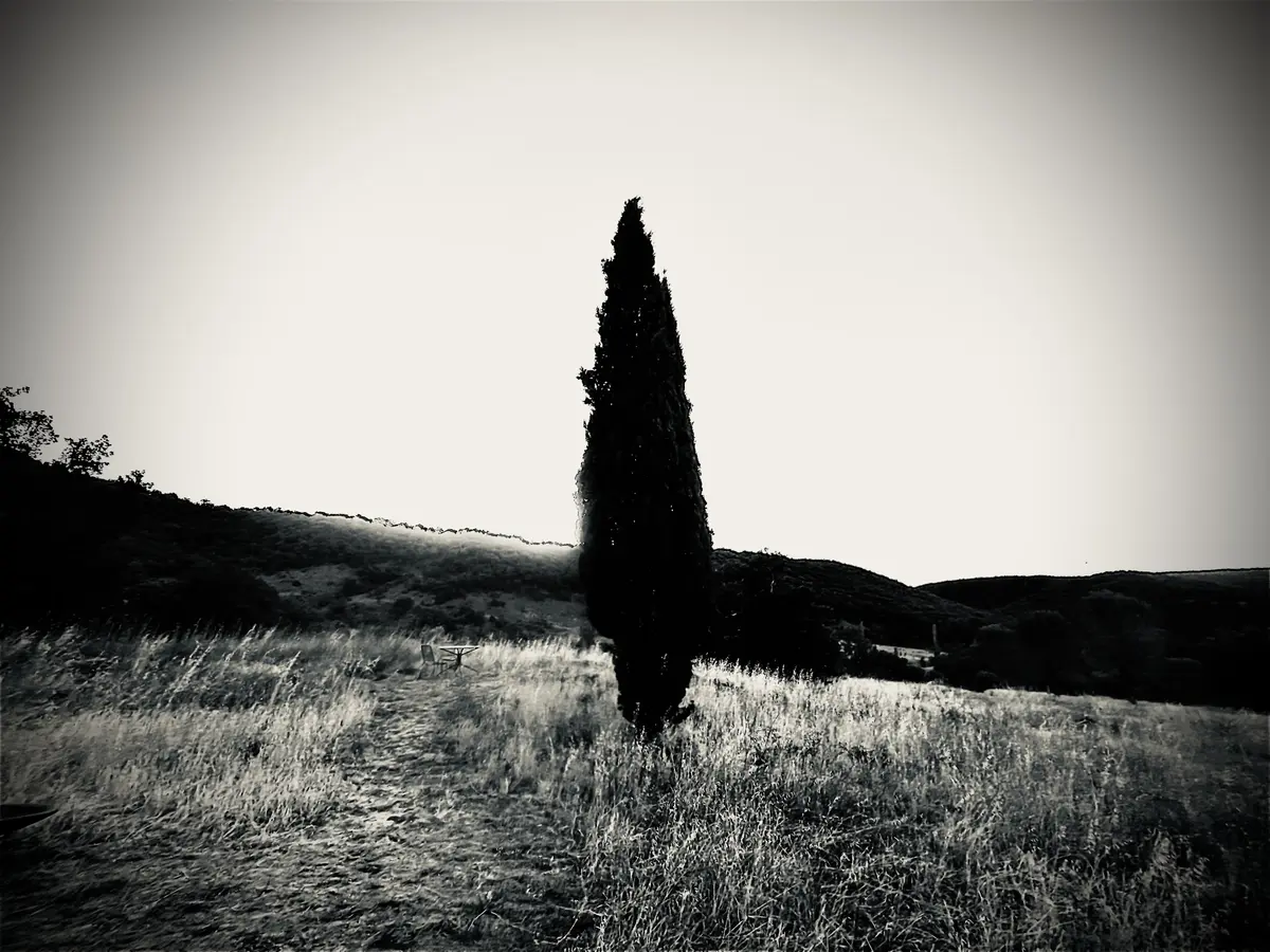 Atelier photographique