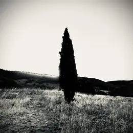 Atelier photographique
