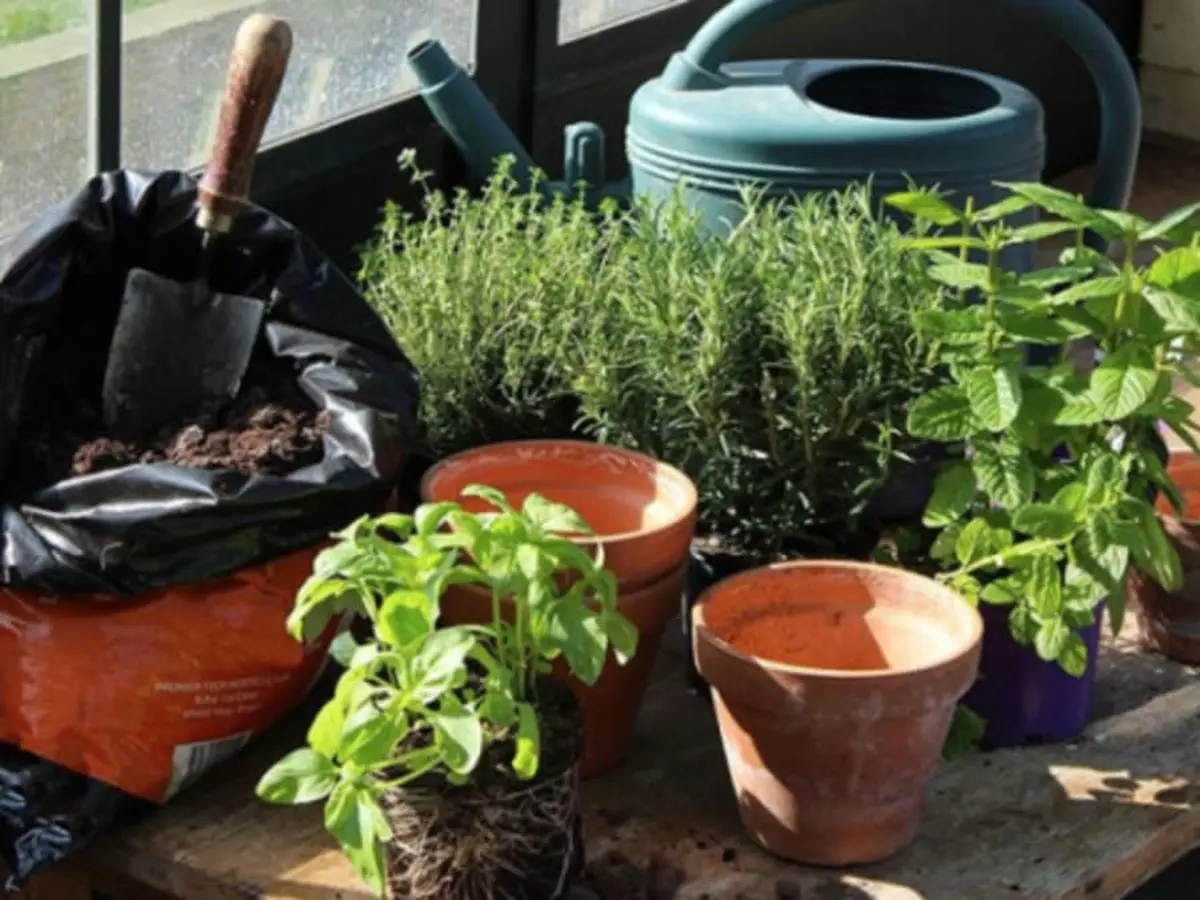 Atelier Plantation & Animaux à la Ferme de Gally Sartrouville