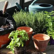 Atelier Plantation & Animaux à la Ferme de Gally Sartrouville