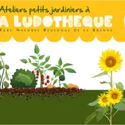 Atelier plantes aromatiques (1 à 3 ans)