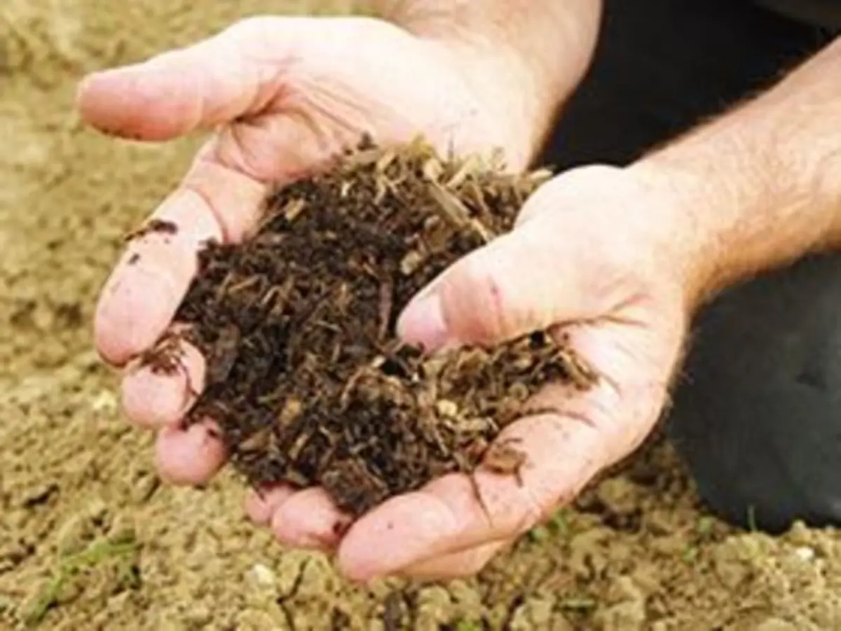 Atelier plantes aromatiques à Montardon (64)