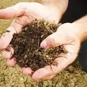 Atelier plantes aromatiques à Montardon (64)