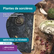 Atelier Plantes de sorcières