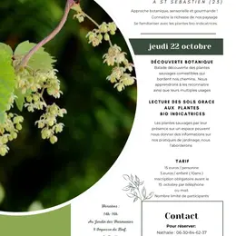 Atelier Plantes sauvages comestibles