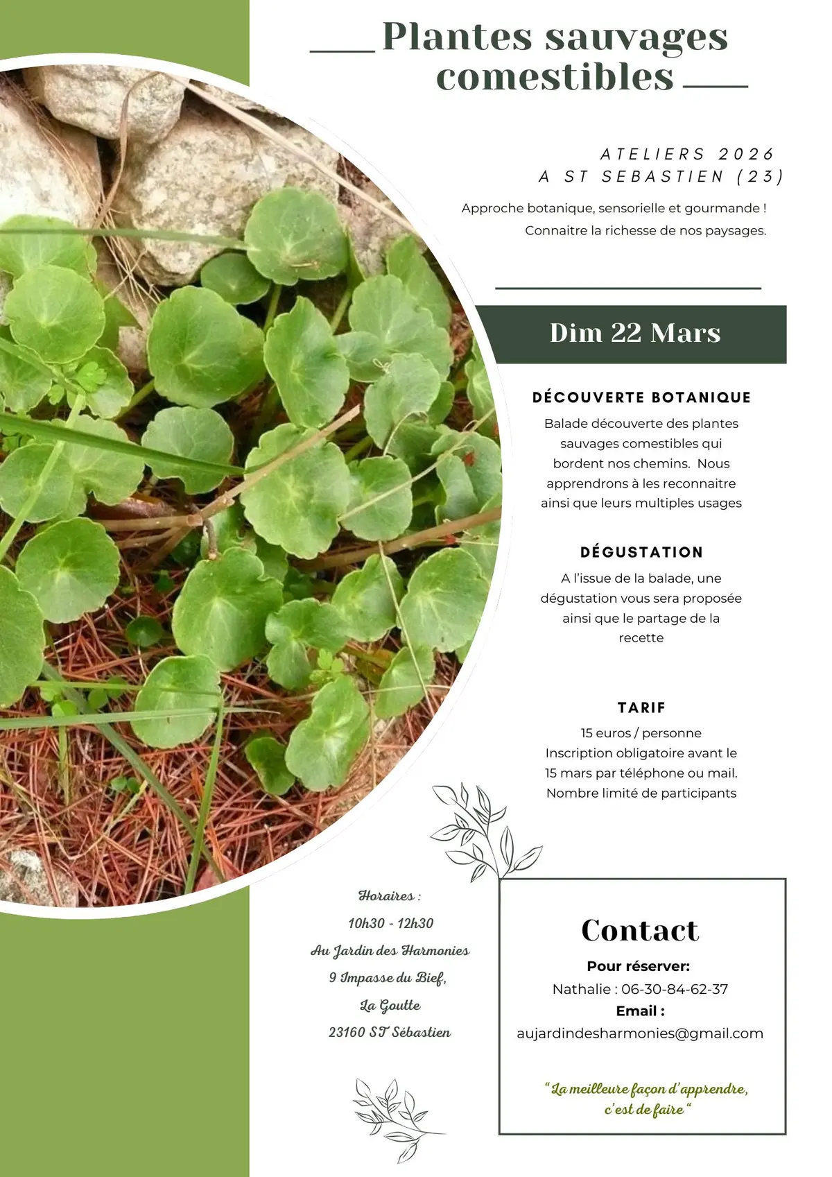 Atelier Plantes sauvages comestibles