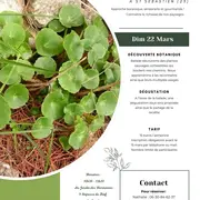 Atelier Plantes sauvages comestibles