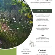 Atelier Plantes sauvages comestibles