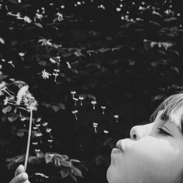 Atelier Pollens et allergies