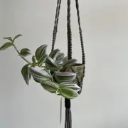 Atelier porte-plante en macramé à Toulouse (31)