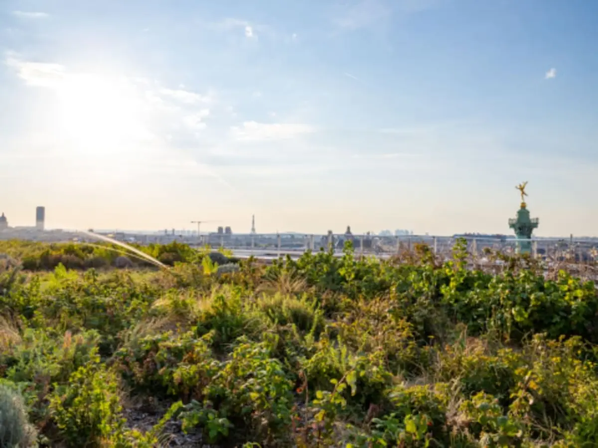 Atelier potager urbain sur les toits de l’Opéra Bastille à Paris