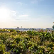 Atelier potager urbain sur les toits de l’Opéra Bastille à Paris