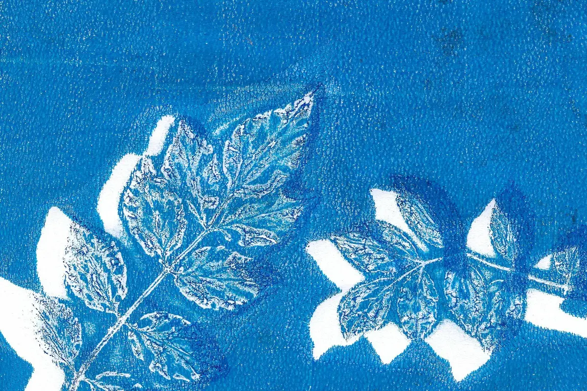 Atelier pour artistes en herbe | Cyanotype avec l'artiste Mélissa Boucher Morales