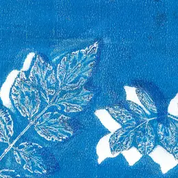 Atelier pour artistes en herbe | Cyanotype avec l'artiste Mélissa Boucher Morales