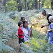 Atelier pour enfants - Les secrets de la forêt