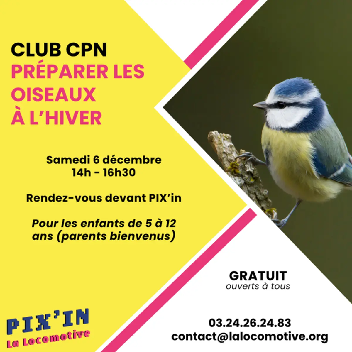 Atelier préparer les oiseaux à l'hiver