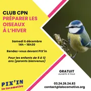 Atelier préparer les oiseaux à l'hiver