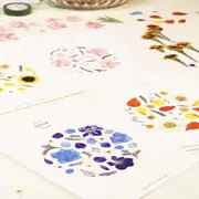 Atelier pressage de fleurs et composition d'herbier à Marseille