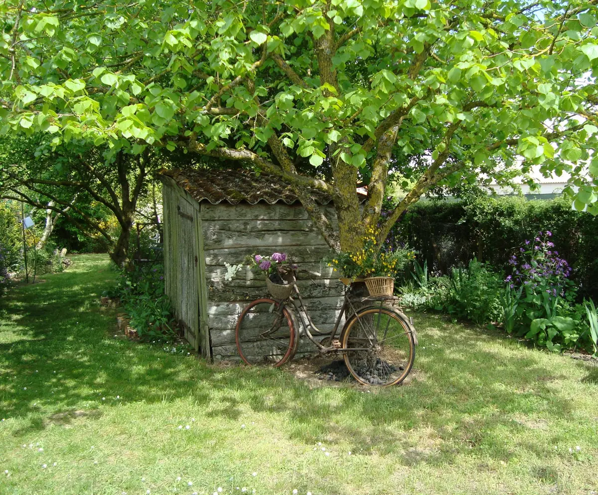 Atelier rajeunissement du grand Pommier