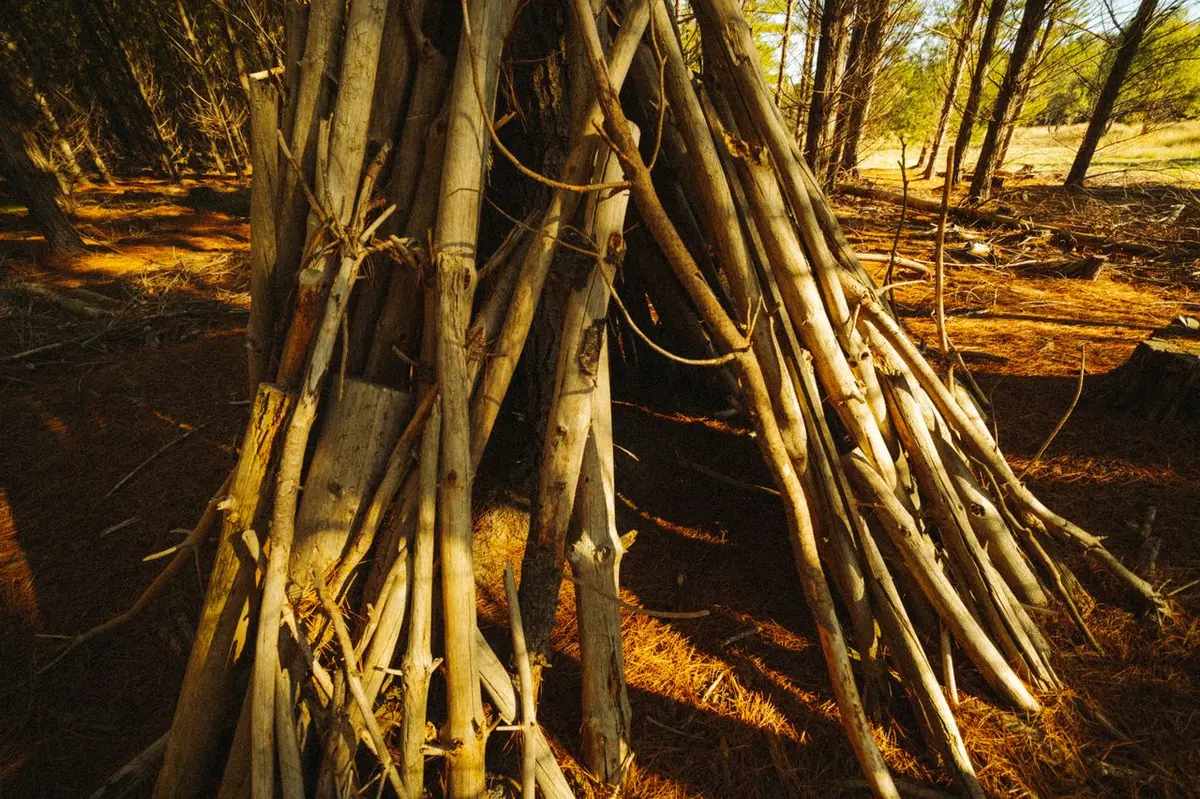 Atelier réalisation d'un abri tipi