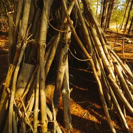 Atelier réalisation d'un abri tipi