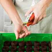 Atelier : Réalisation de bombes à graines