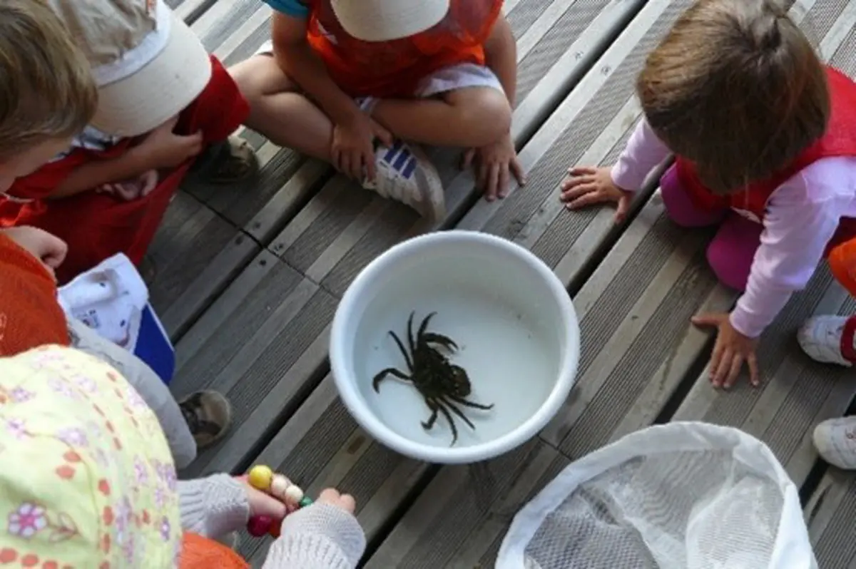 Atelier rencontre biodiversité