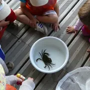 Atelier rencontre biodiversité