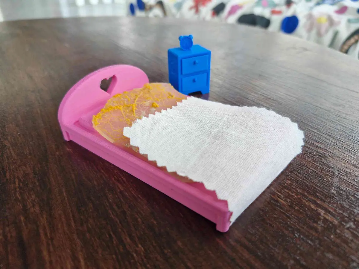 Atelier Réveil du blob