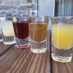 Atelier rhum réunionnais à Saint-Jacut-du-Mené (22)